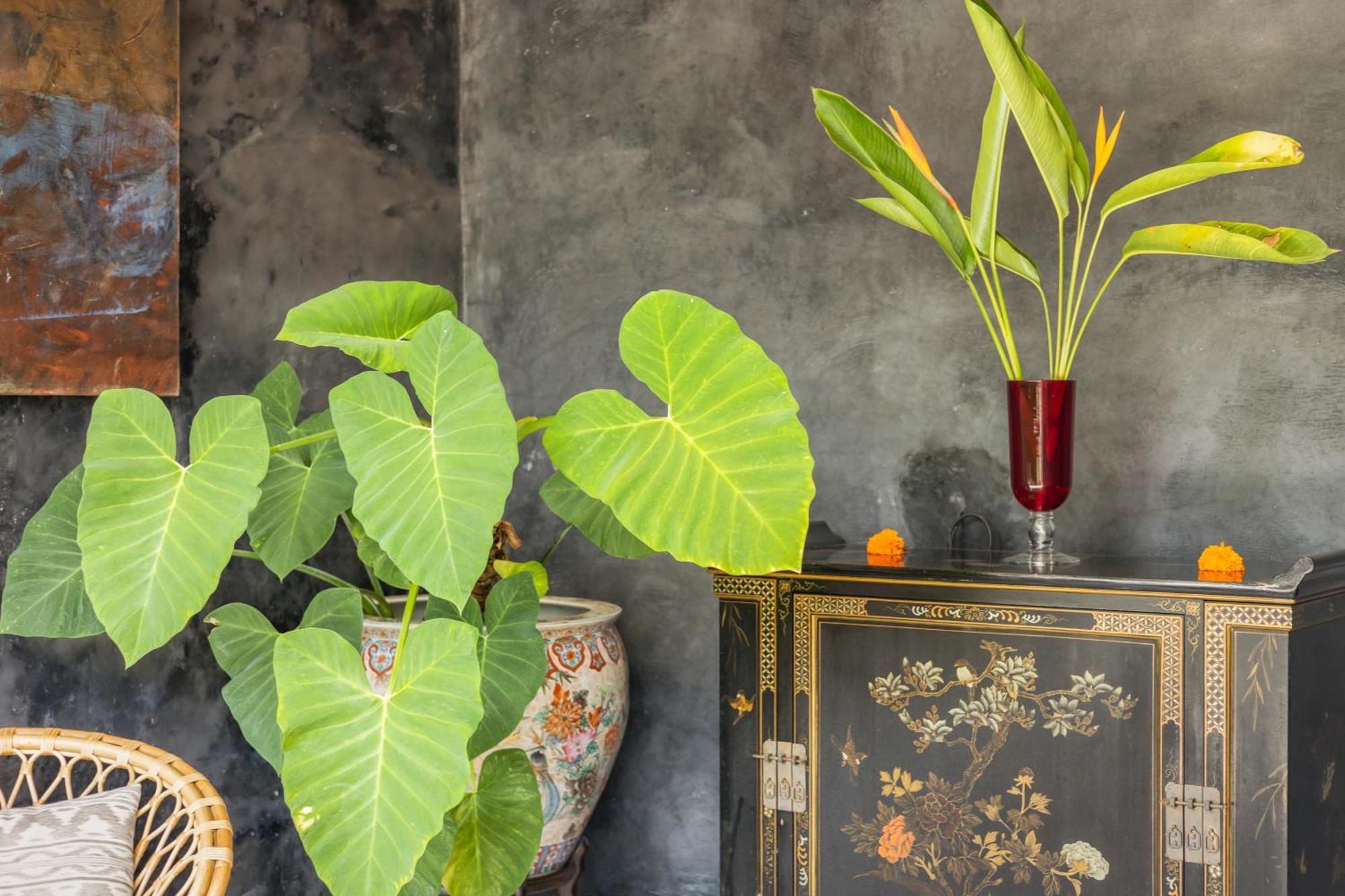 New 4 Bedroom Villa Surrounded By Jungle And Ricefields Ubud Exterior foto